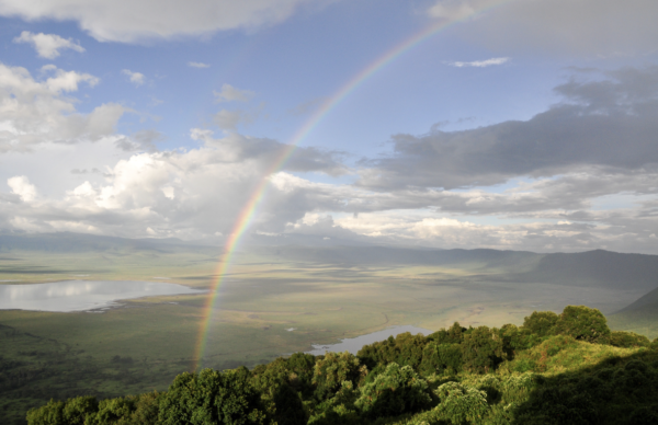 Ngorongoro Landscape